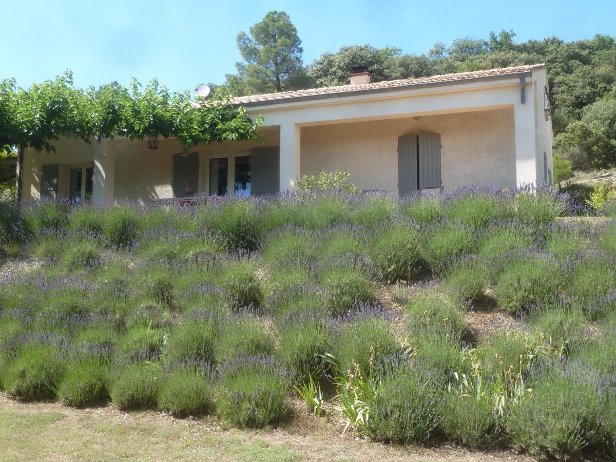 Une Ronce Sous Le Figuier Rousset-les-Vignes Экстерьер фото